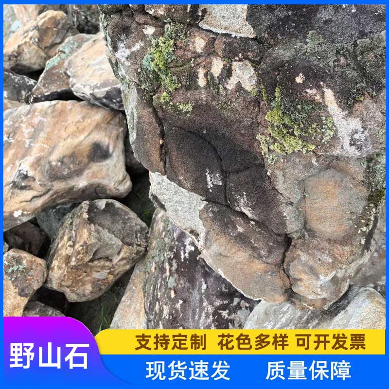 野山石 青苔石 公园造景原石