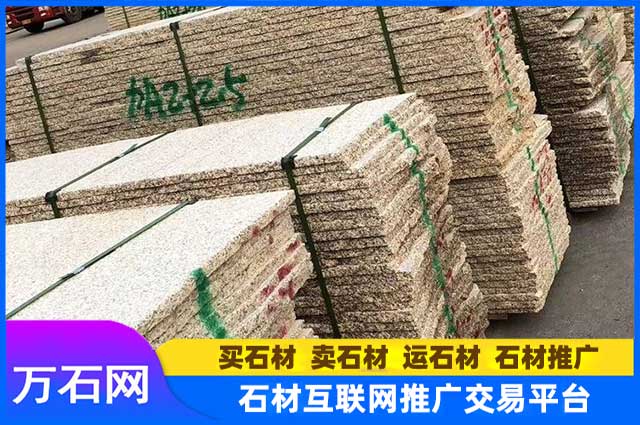 大花黄金麻