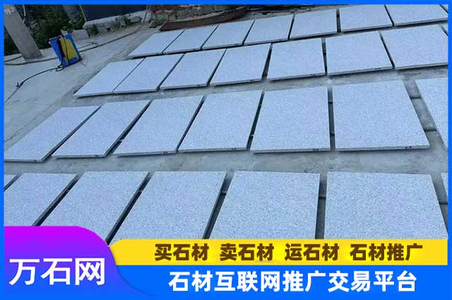 山东白麻和福建白麻对比